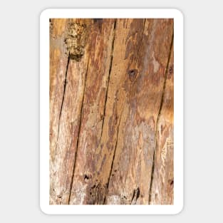Wooden texture Sticker